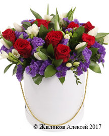 ����� ���� ���������� � ������� �������