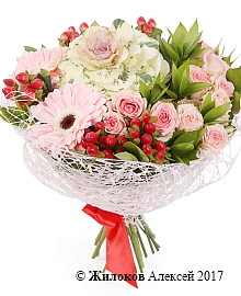 ����� �� ������ �����