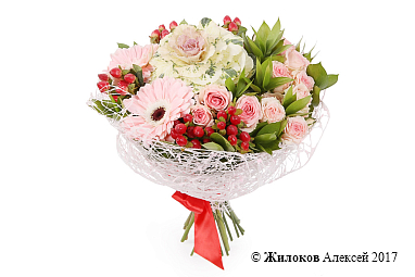 ����� �� ������ �����