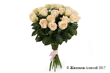 ����� 21 ���� �����