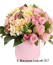 ����� �������� ���� � ������� �������