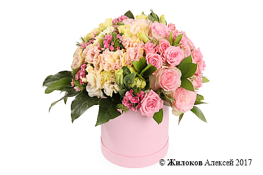 ����� �������� ���� � ������� �������