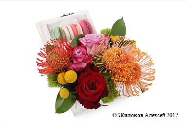 ���������� ������������ ������ � �����