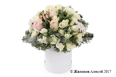 ����� ������� ������ � ������� �������