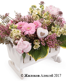 ����� ������� ��� � �����