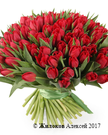 ����� 101 �������, �������