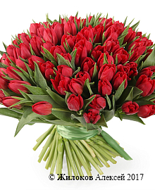 ����� 101 �������, �������