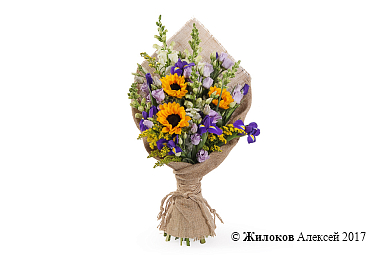 ����� ������ �����