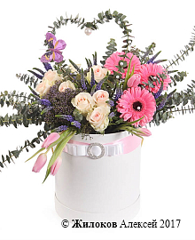 ����� �������� ������ � ������� �������