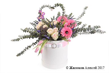 ����� �������� ������ � ������� �������