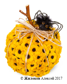 ���������� ��������� �����