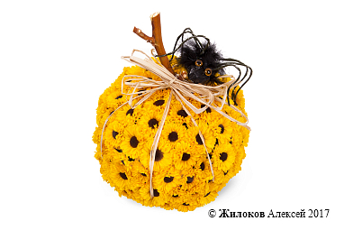 ���������� ��������� �����