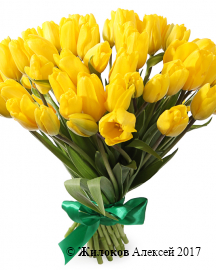 Букет 51 королевский тюльпан, желтые
