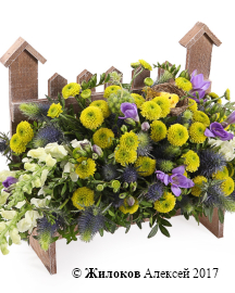 ���������� ����� ��� ����� � �����