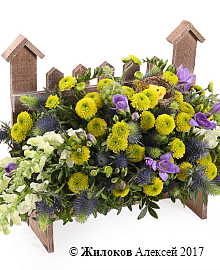 ���������� ����� ��� ����� � �����