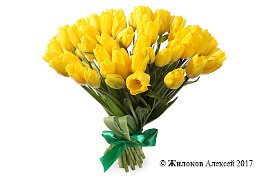 ����� 51 ����������� �������, ������