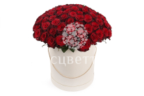 ����� �� 101 ������� ���� ��� ����� � ������� �������