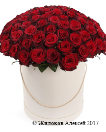 ����� �� 101 ������� ���� ��� ����� � ������� �������