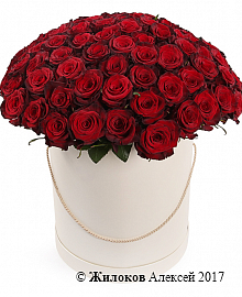 Букет из 101 красной розы Ред Париж в шляпной коробке