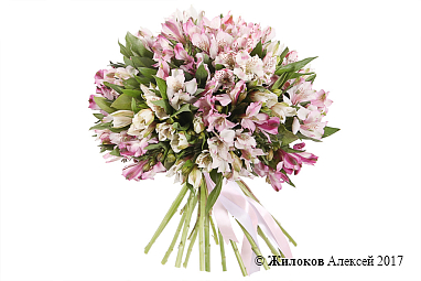 ����� �� ������������ ������� ������