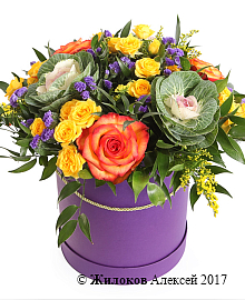 ����� ������� �������� � ������� �������