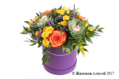 ����� ������� �������� � ������� �������