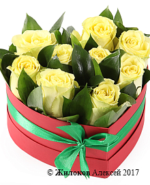 ����� �������� � ����� � ������� ������� ������ (����)