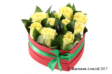 ����� �������� � ����� � ������� ������� ������ (����)