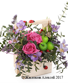 ���������� � �������� ������ ������ � �����