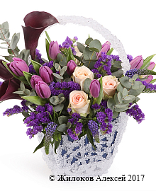 ����� �������� �������