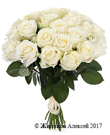 ����� 25 ��� ������� 60/70 ��