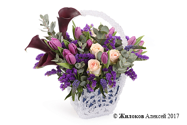 ����� �������� �������