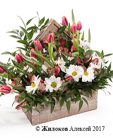 ���������� � ���� ������ � �����