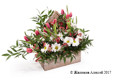 ���������� � ���� ������ � �����