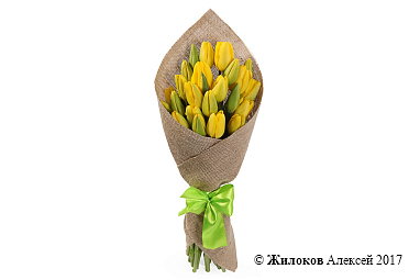 ����� ��� ���� (25 ������ ���������)