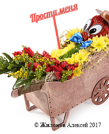 ����� ��������� ����� � �����