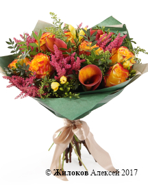 ����� ������� �������