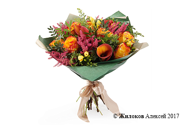 ����� ������� �������