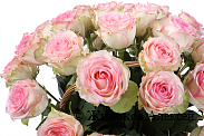 Букет 35 роз Эсперанс в корзине