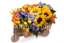 ���������� ��������� ������������ � �����