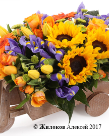 ���������� ��������� ������������ � �����