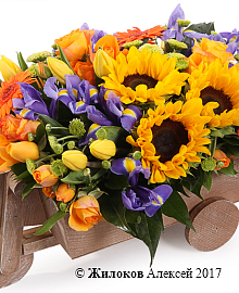 ���������� ��������� ������������ � �����