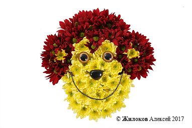 ���������� �� ��������� �������