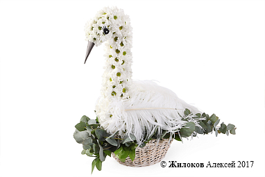 ���������� ����� ������