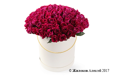 ����� 101 ���� ���� ��� � ������� �������