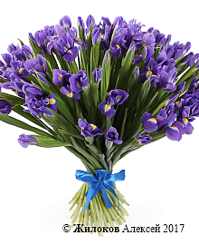 ����� �� ������ ������ (����)