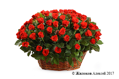 ����� 101 ���� � �������, 50 ��