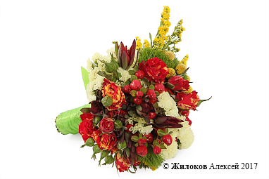 ����� ������� �����