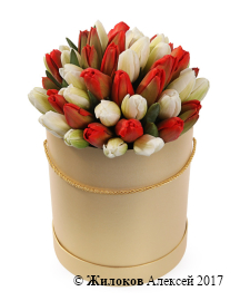 ����� 51 ����������� ������� � ������� ������� �������, ������-����� ����