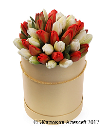 ����� 51 ����������� ������� � ������� ������� �������, ������-����� ����